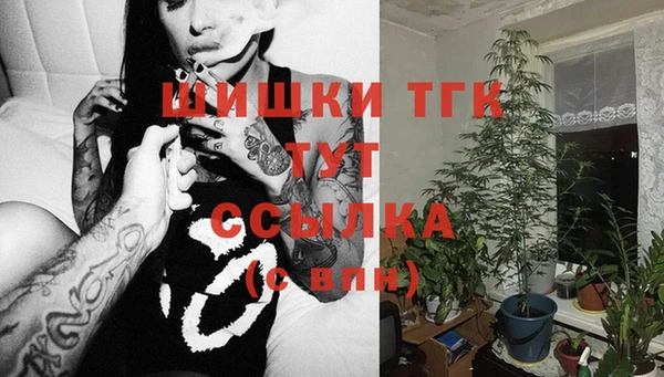 твердый Балахна
