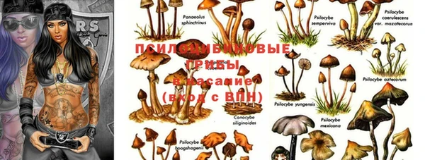 ALPHA-PVP Баксан