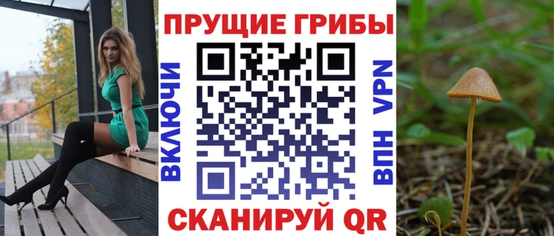 Псилоцибиновые грибы Magic Shrooms  Рассказово 